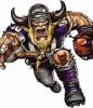 FourCornersViking